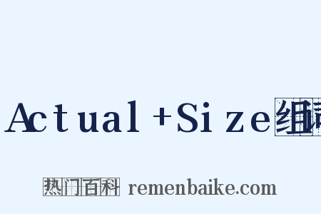 Actual+Size组词是什么意思的图片